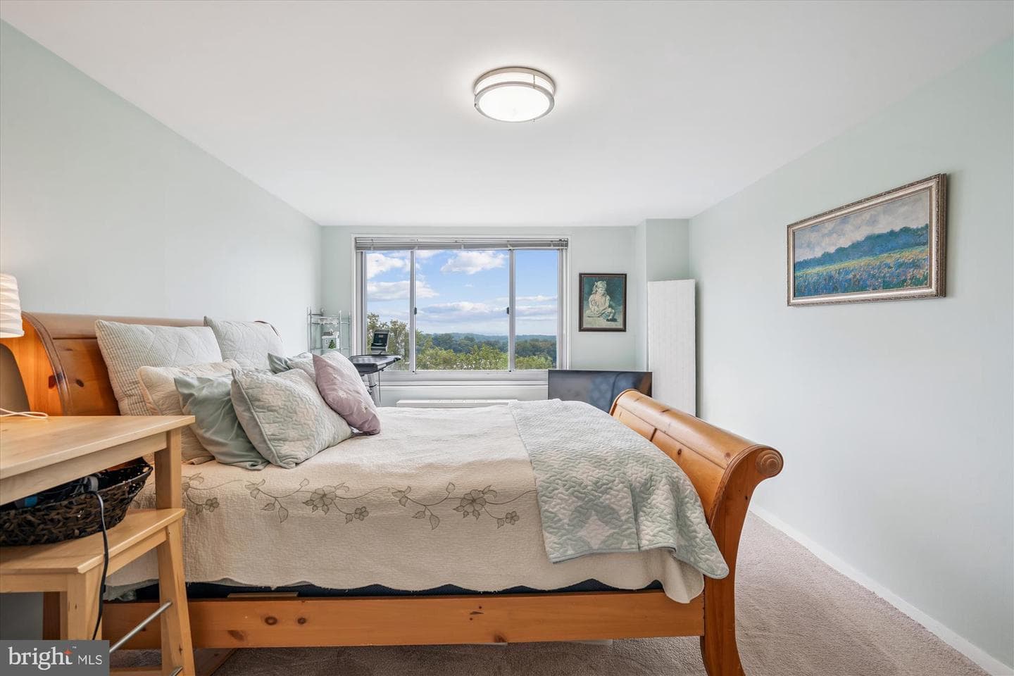 1900 Lyttonsville Road #1308 photo 22