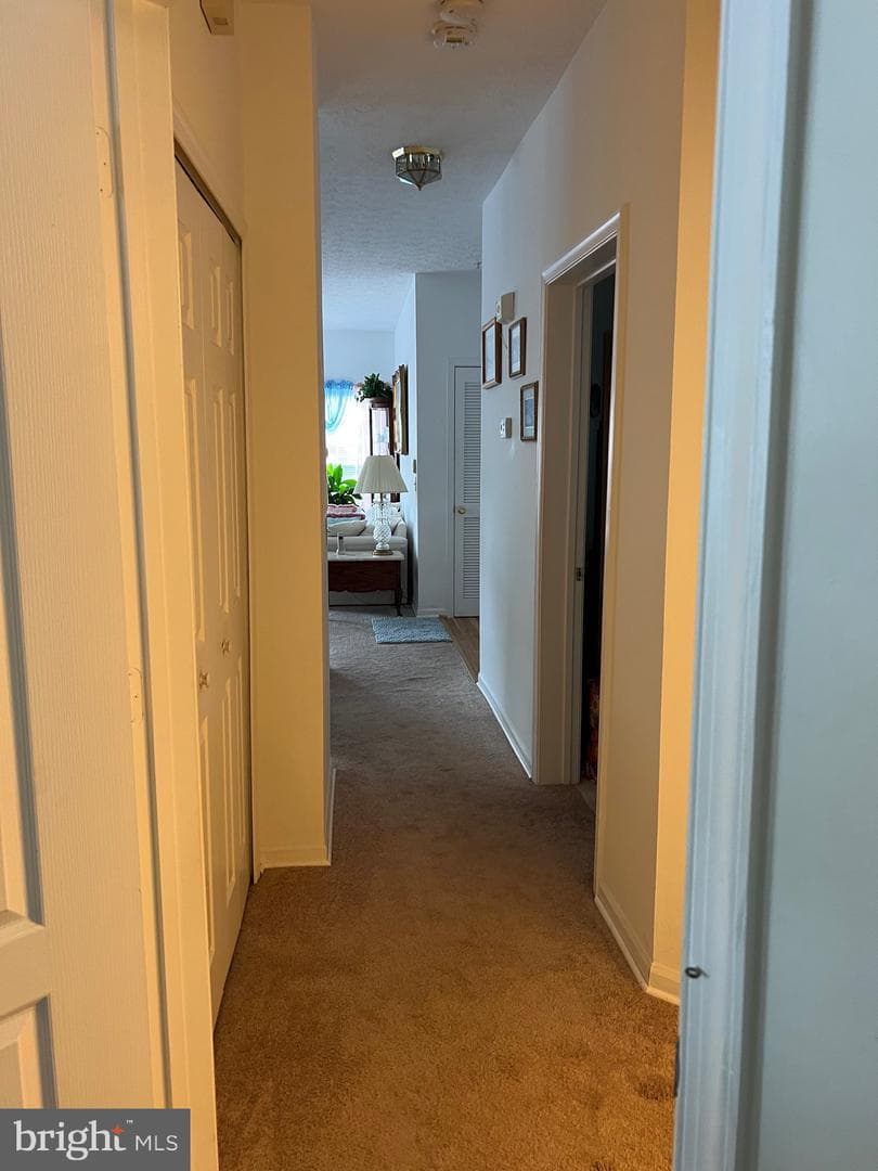 9806 Feathertree Terrace #a photo 7