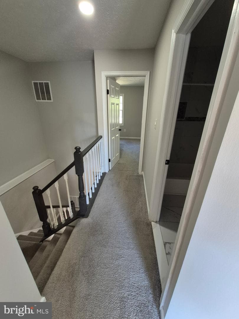 12435 Sky Blue Drive photo 13