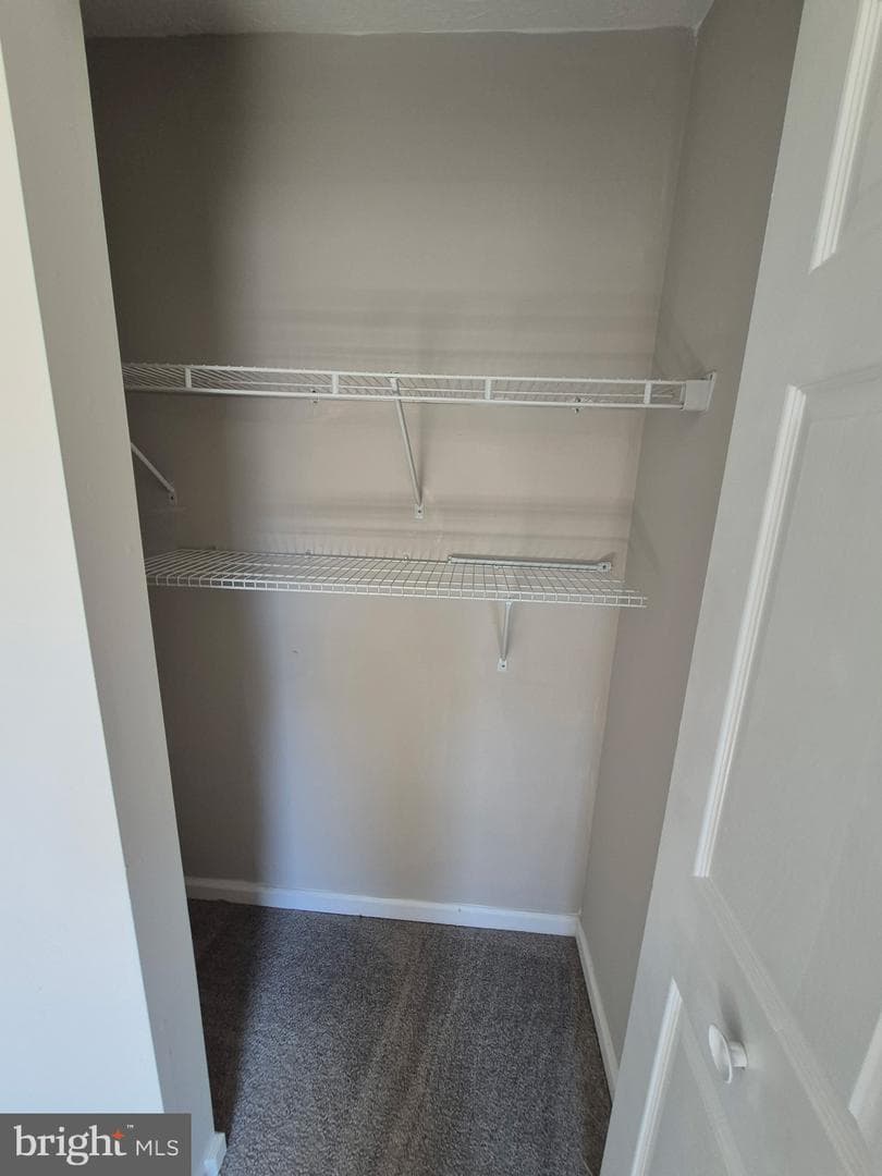 12435 Sky Blue Drive photo 20