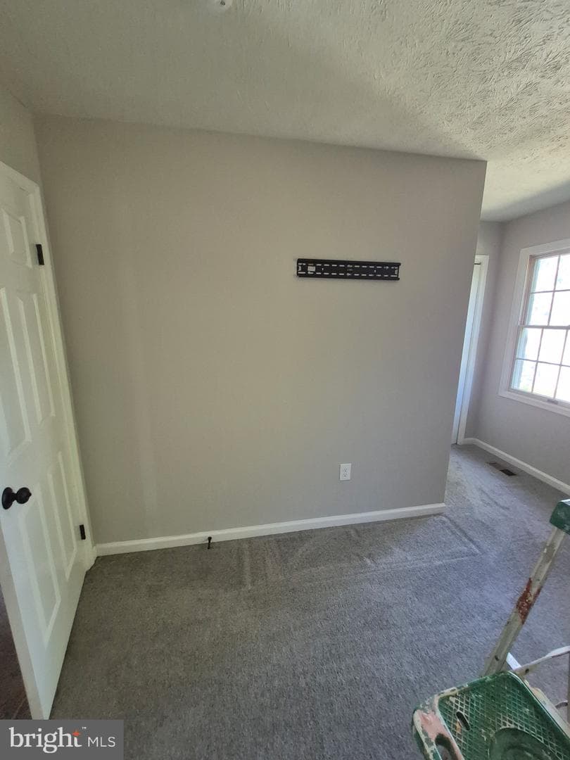 12435 Sky Blue Drive photo 26