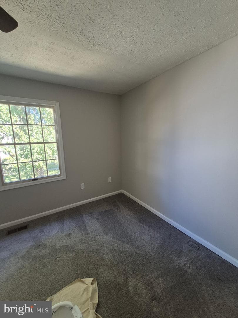 12435 Sky Blue Drive photo 31