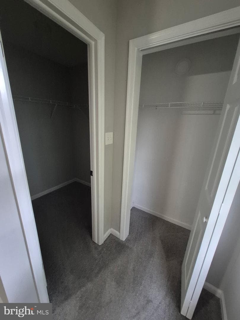 12435 Sky Blue Drive photo 43