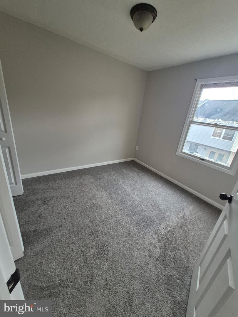 12435 Sky Blue Drive photo 63