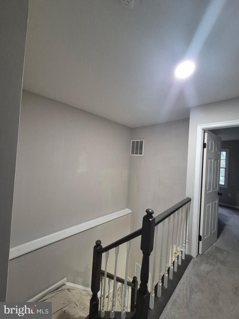 12435 Sky Blue Drive photo 64