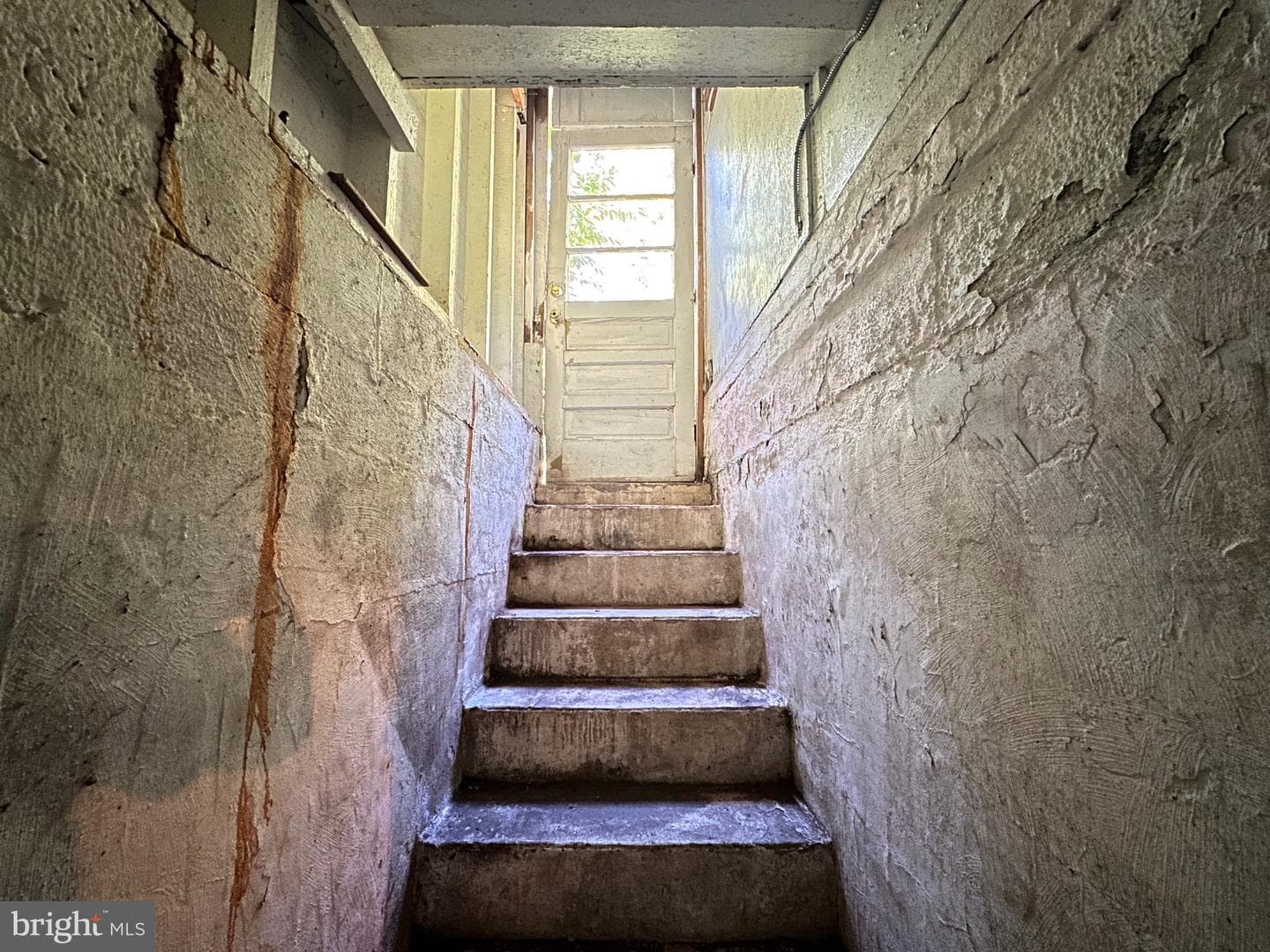 306 Grandin Avenue photo 42