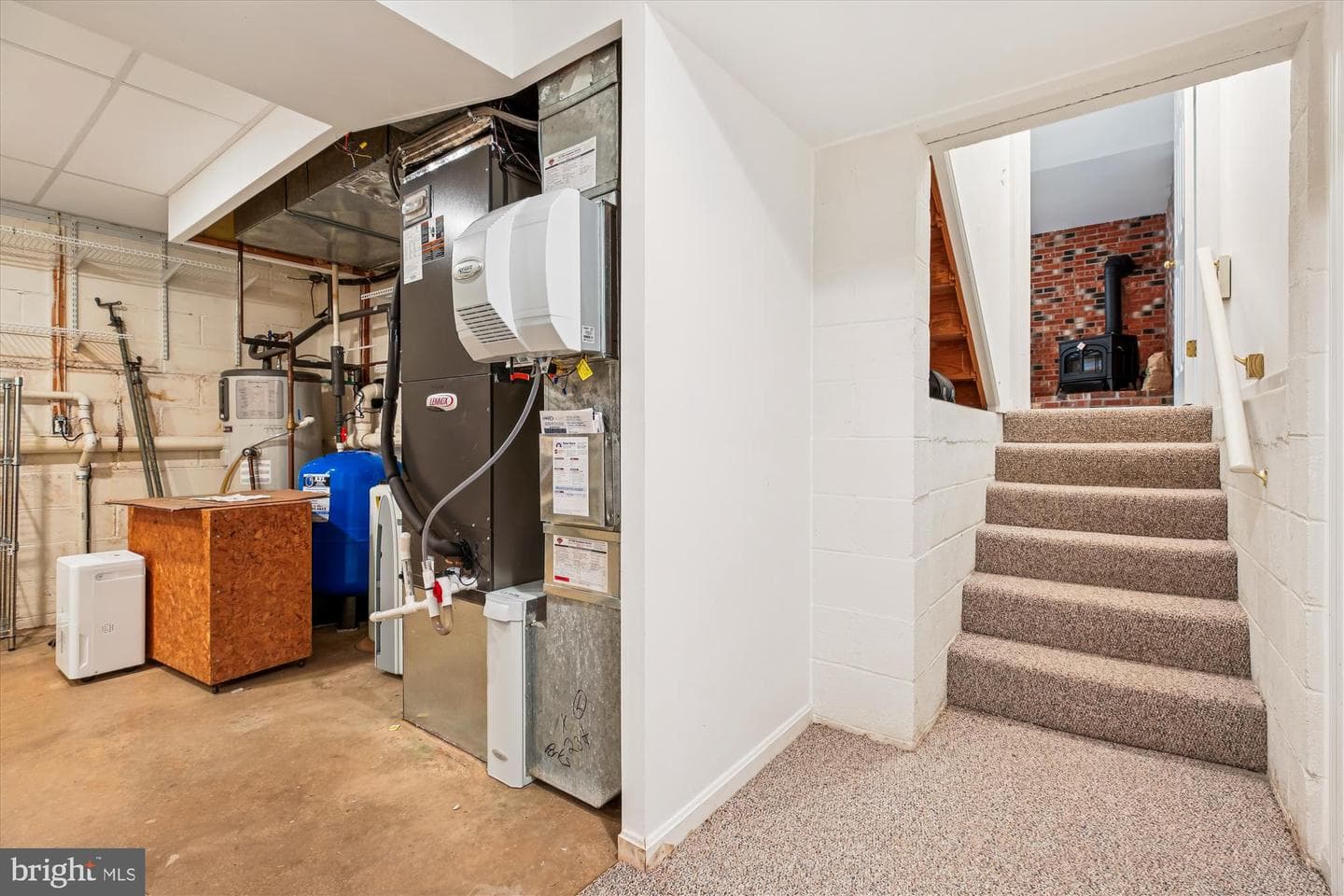 2 Griffith Court photo 64