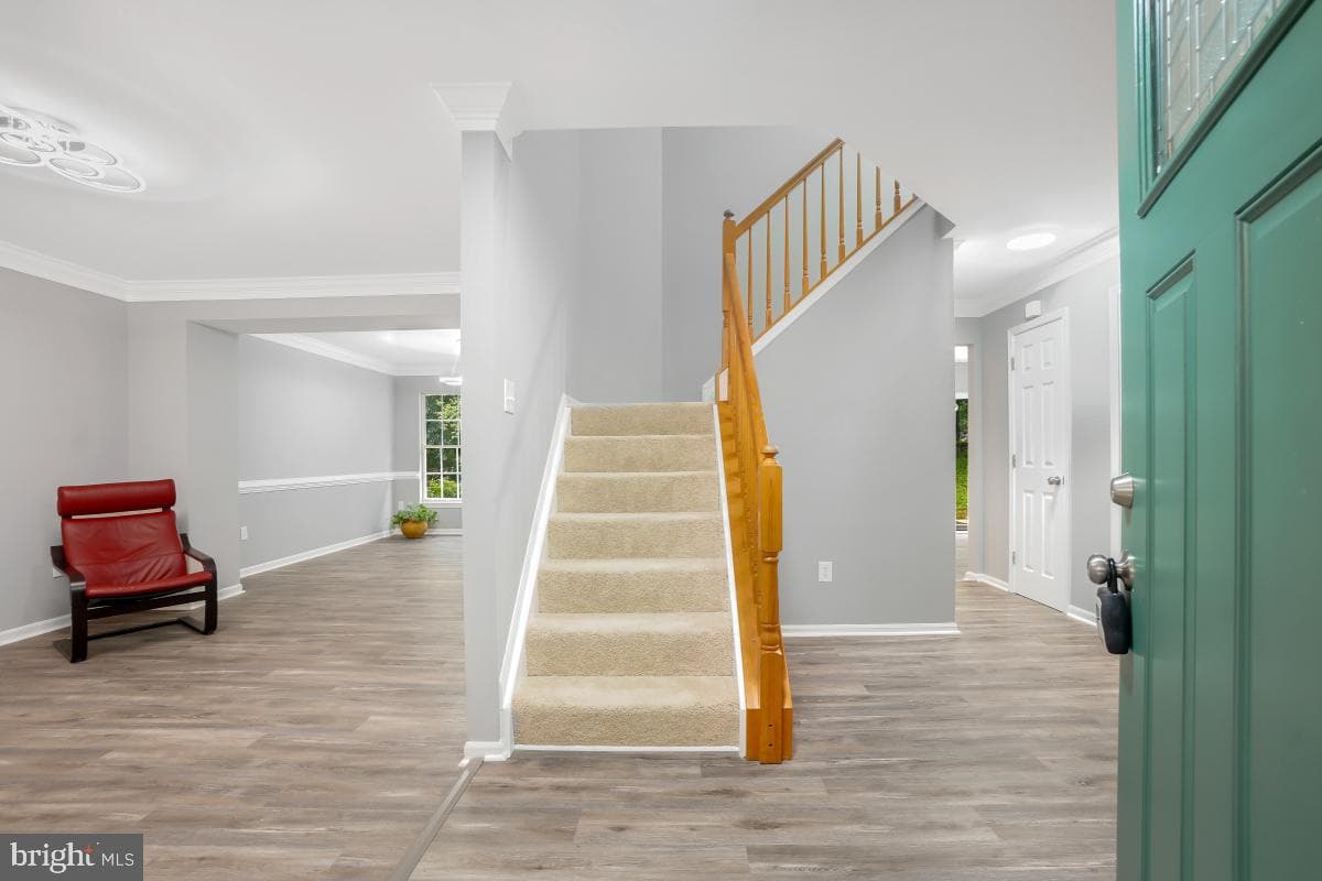 12217 Pissaro Drive photo 3