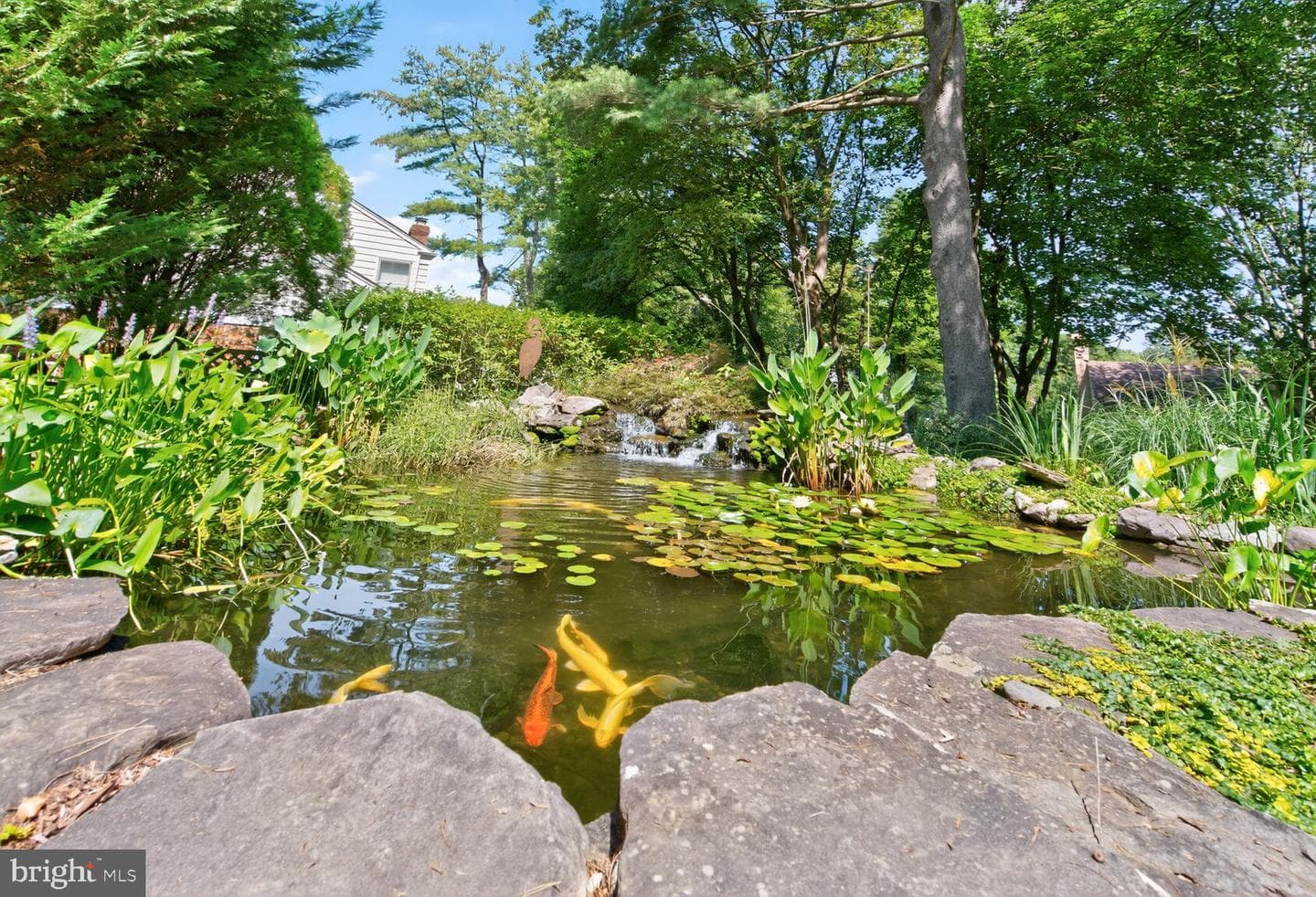9325 Orchard Brook Drive photo 66