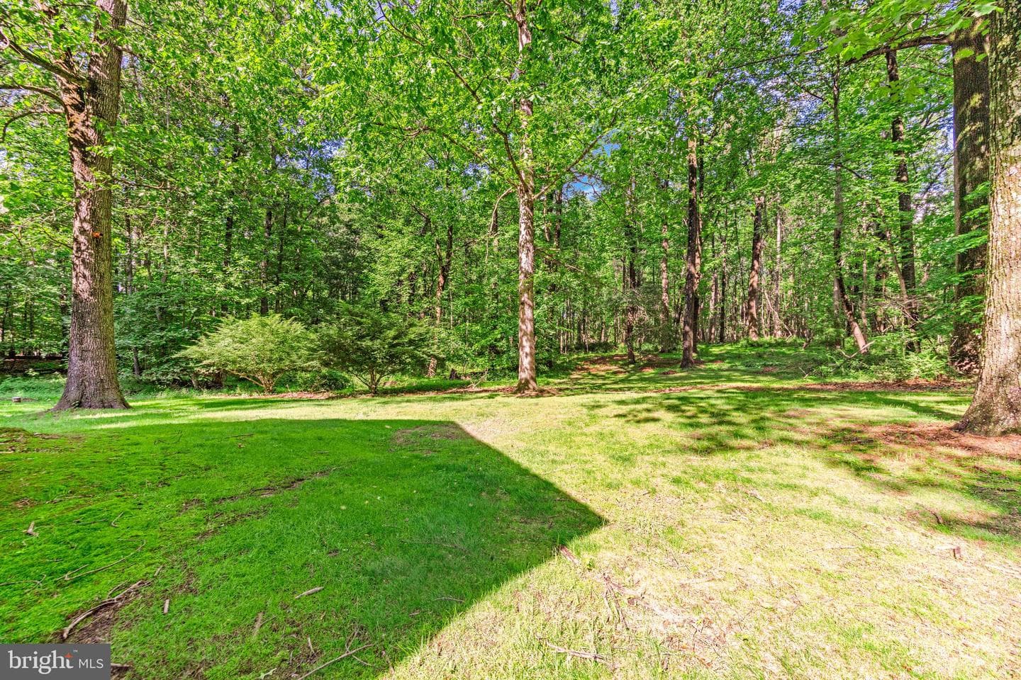 16909 Batchellors Forest photo 38
