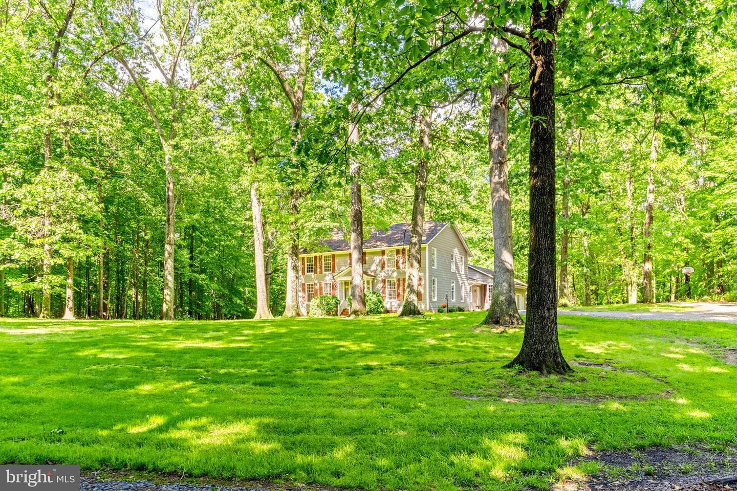 16909 Batchellors Forest photo 41