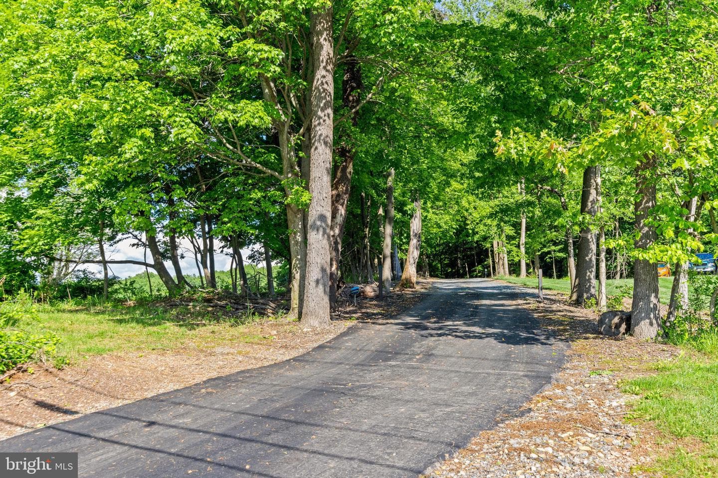 16909 Batchellors Forest photo 42
