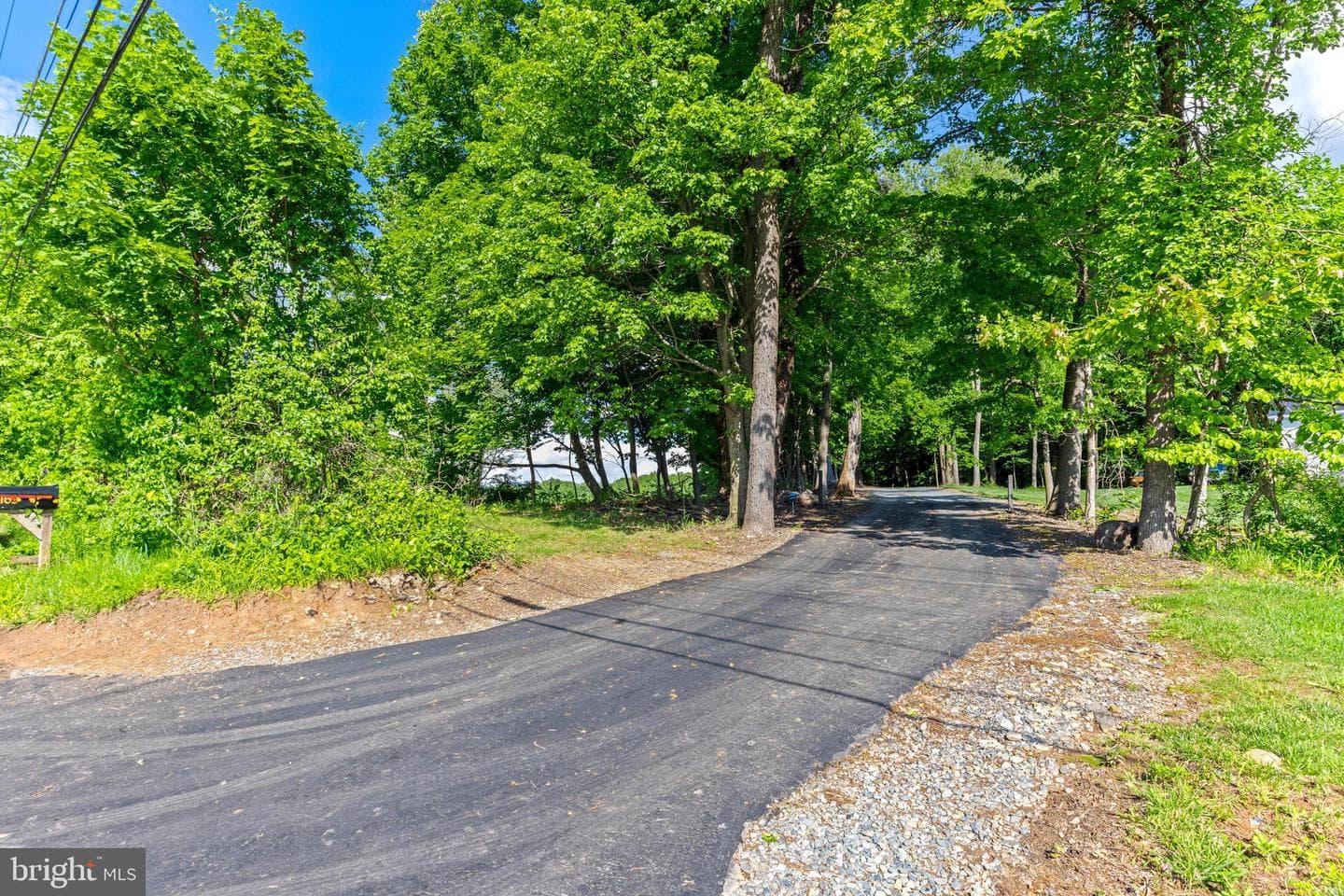 16909 Batchellors Forest photo 43