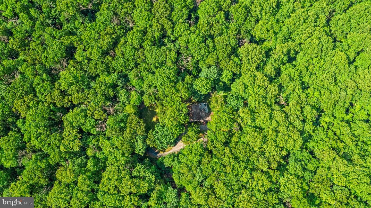 16909 Batchellors Forest photo 47