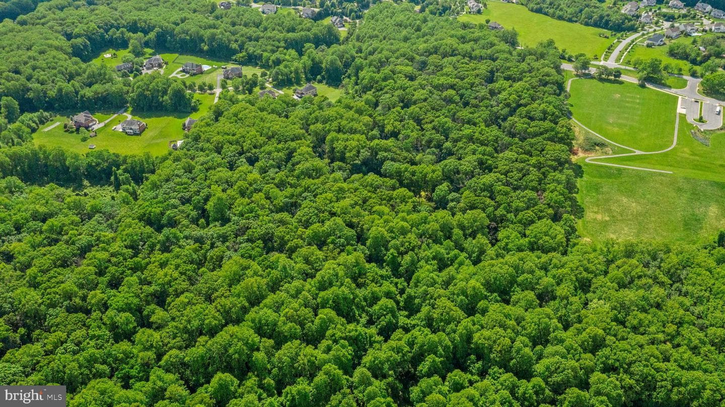 16909 Batchellors Forest photo 48
