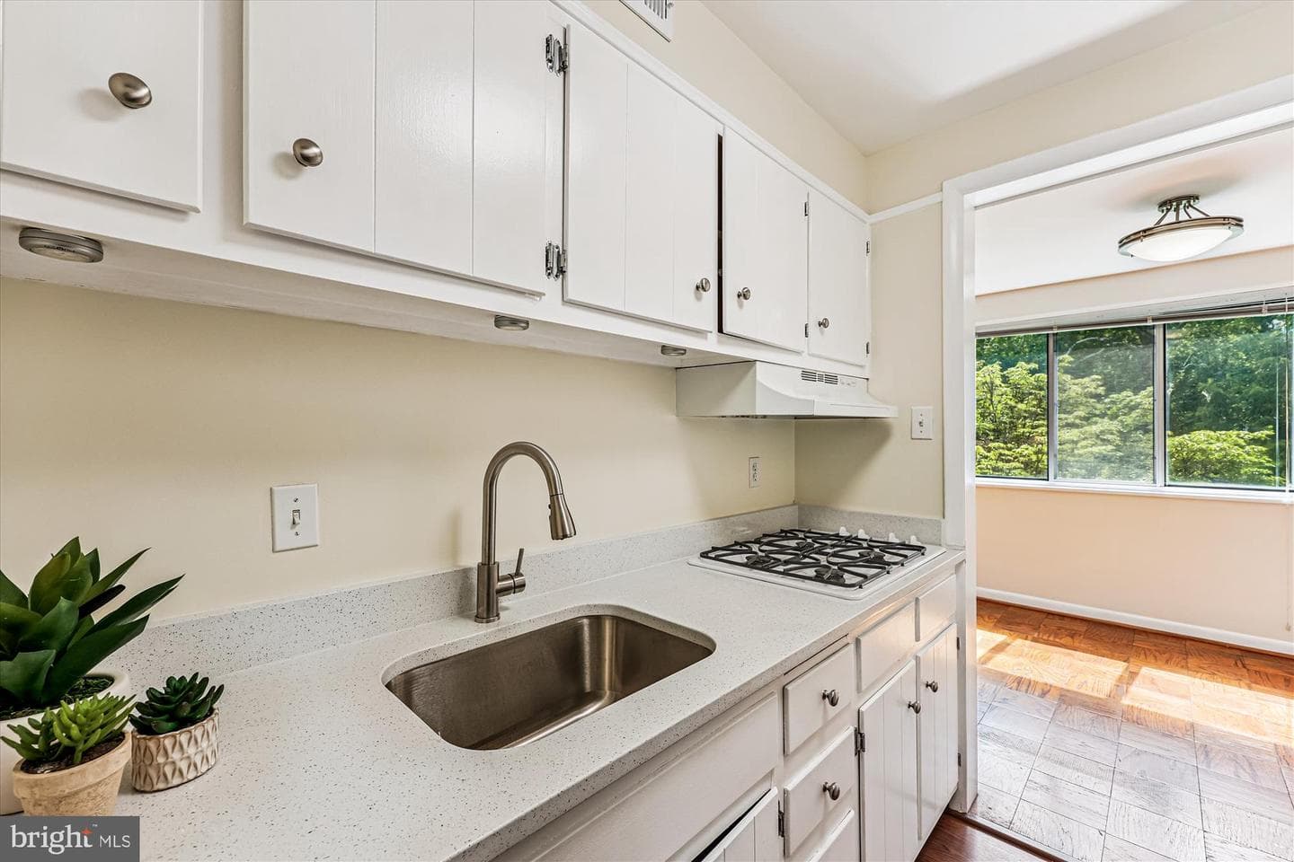 10436 Rockville Pike #202 photo 11