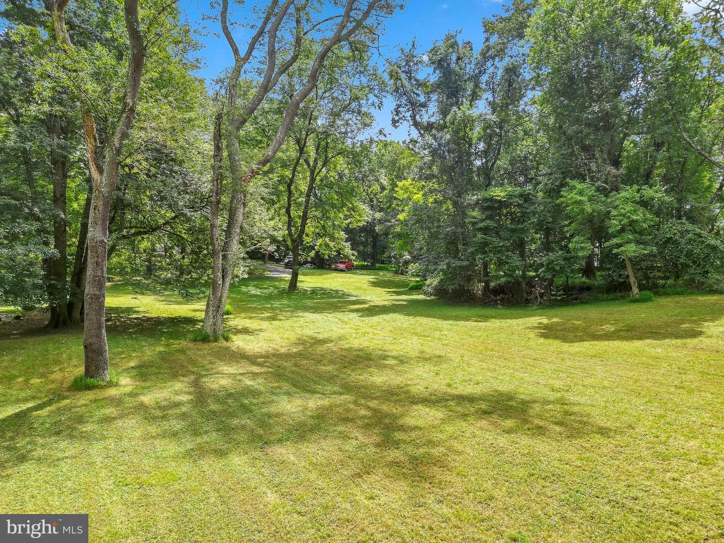 8117 Whirlwind Court photo 49