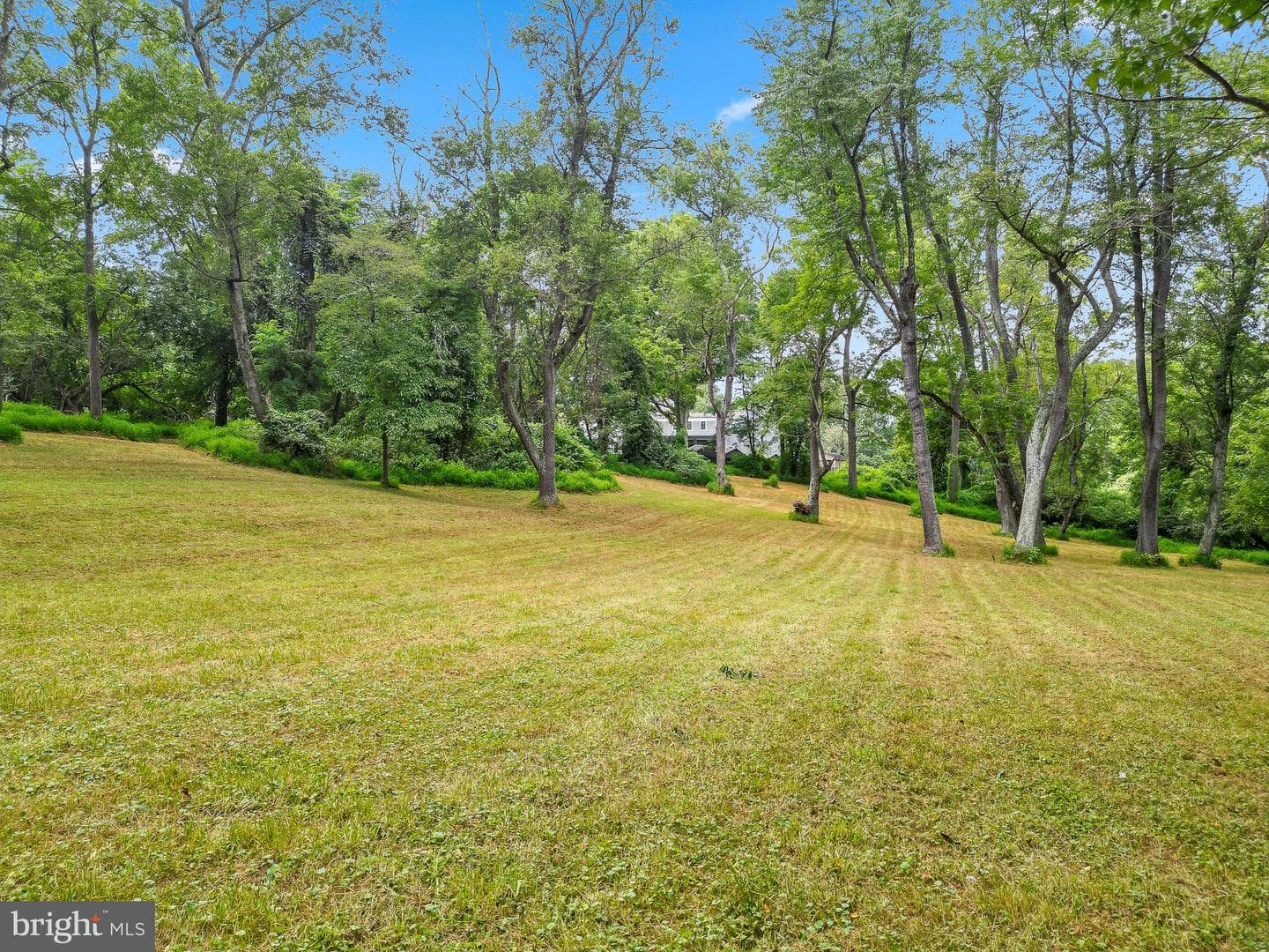 8117 Whirlwind Court photo 50