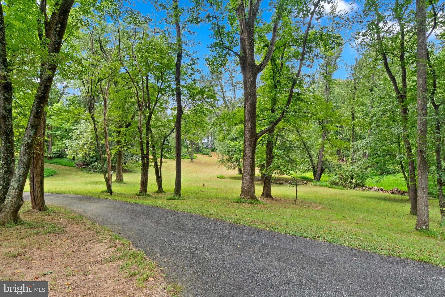 8117 Whirlwind Court photo 56