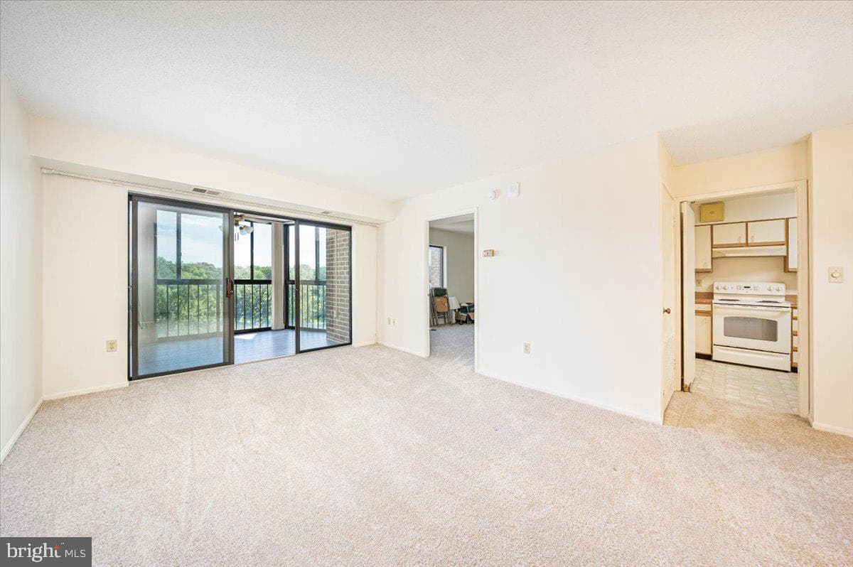15101 Interlachen Drive #1-807 photo 16