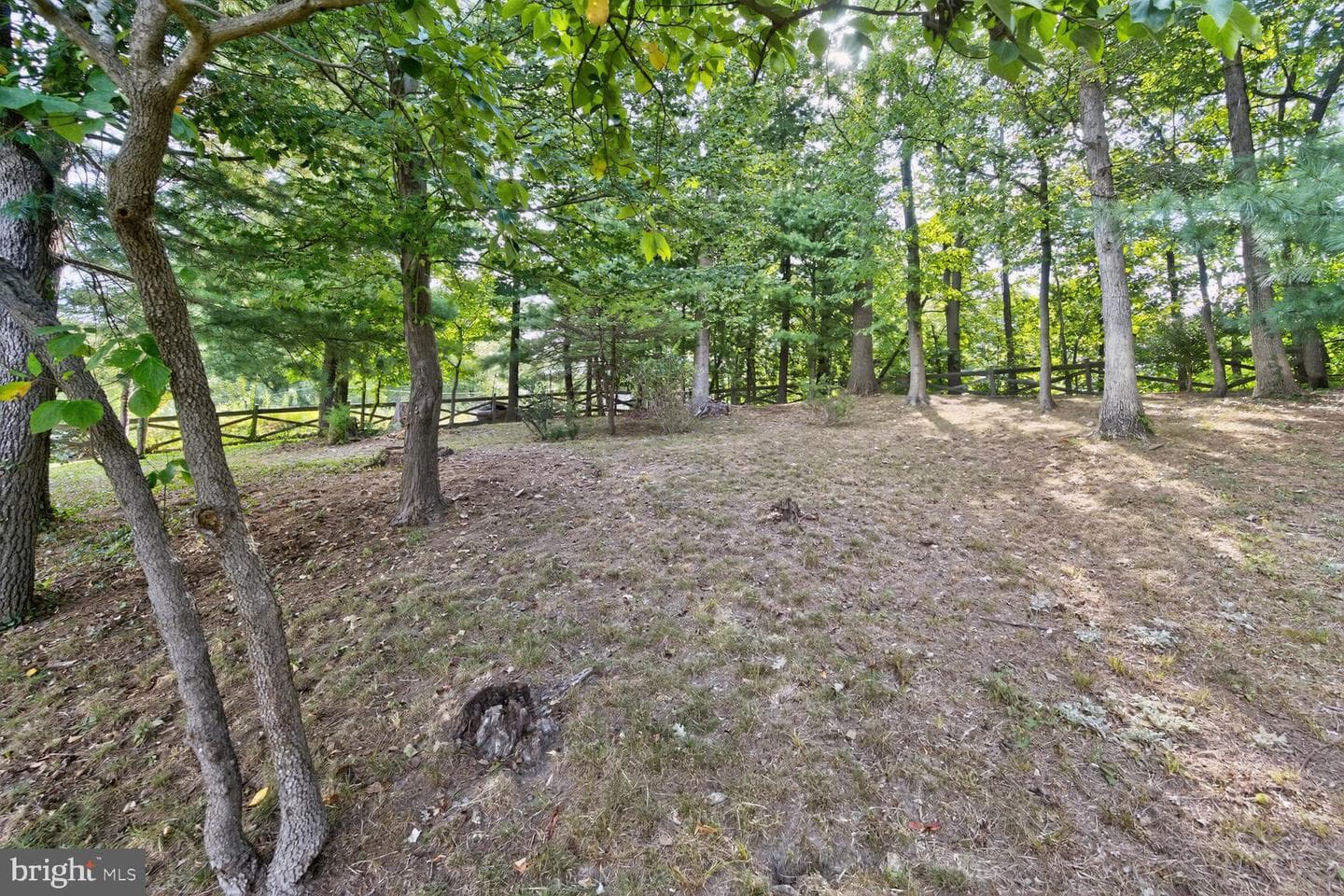 1417 Milestone Drive photo 9