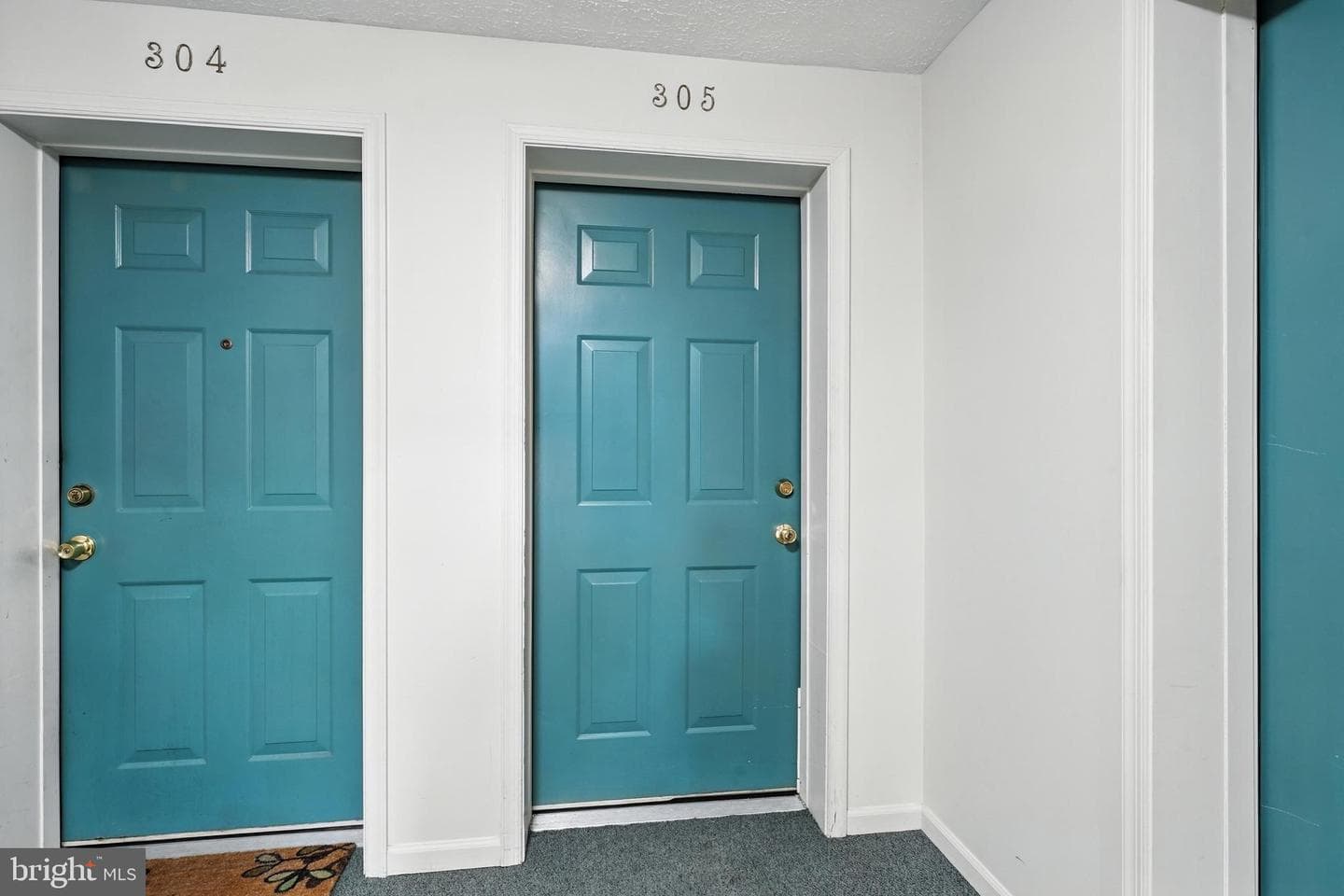 13109 Briarcliff Terrace #3-305 photo 4