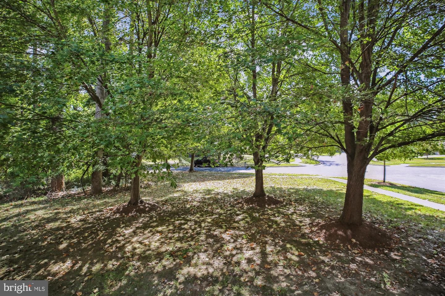 18601 Shadowridge Terrace photo 66