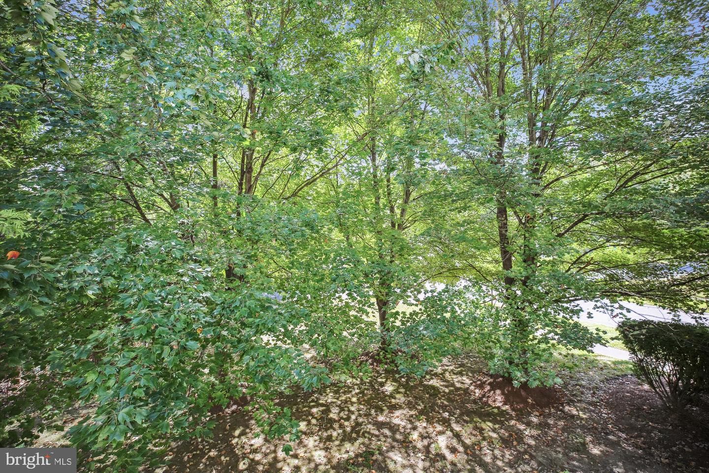 18601 Shadowridge Terrace photo 74