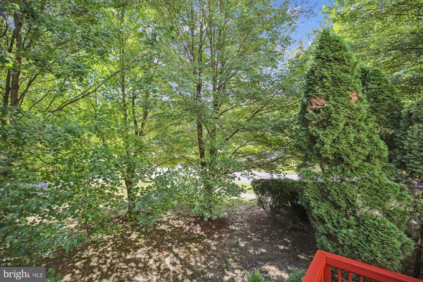 18601 Shadowridge Terrace photo 75