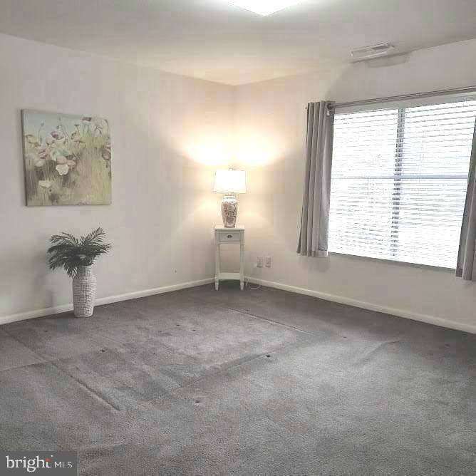 3613 Edelmar Terrace #131-B photo 10