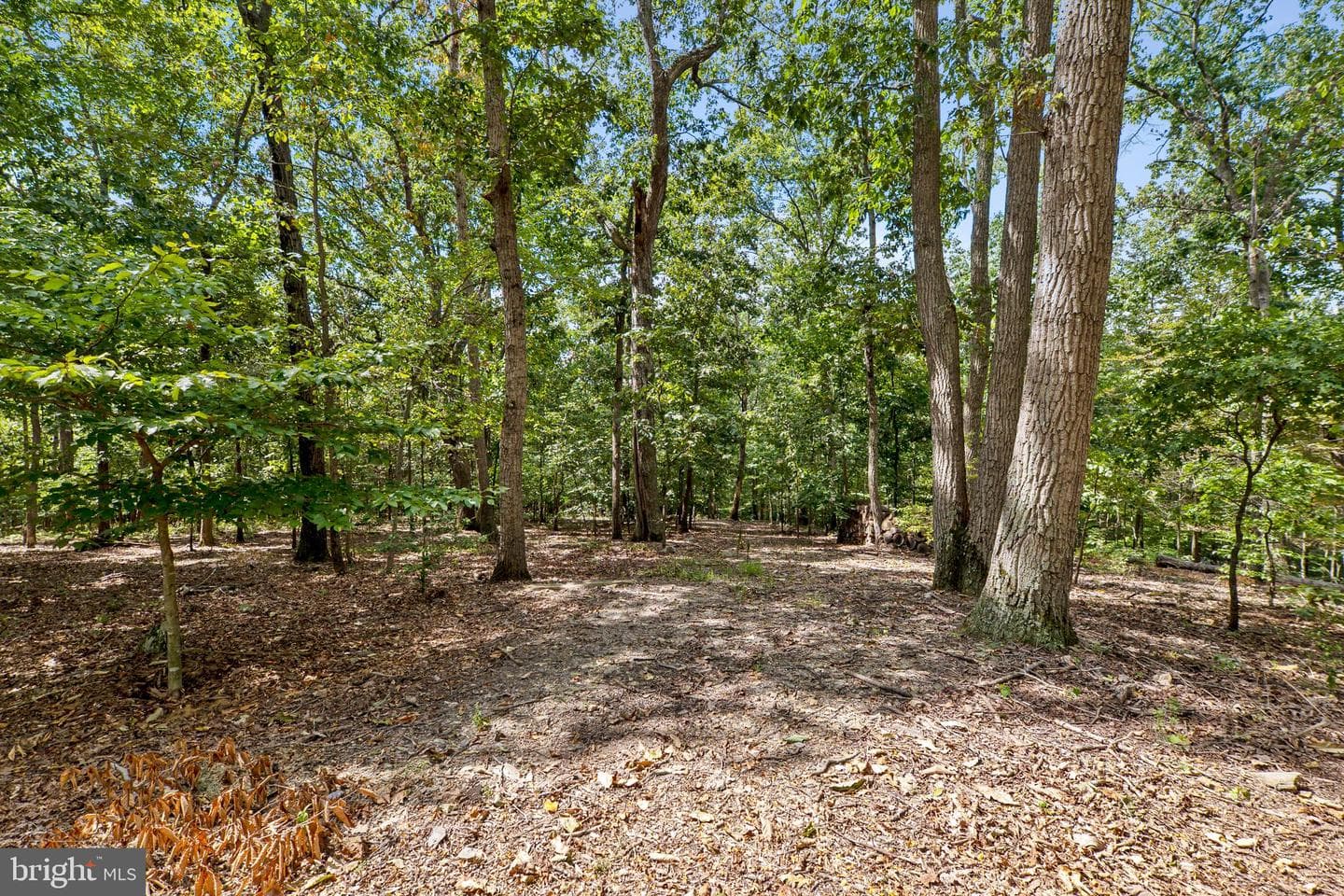 23005 Shiloh Church Road photo 51