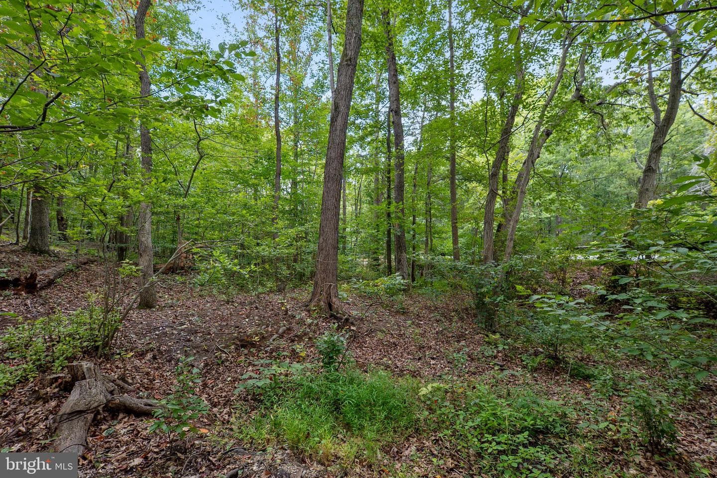 23005 Shiloh Church Road photo 52