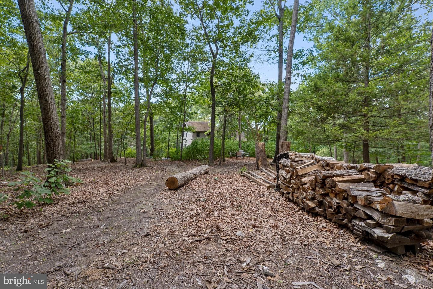 23005 Shiloh Church Road photo 55