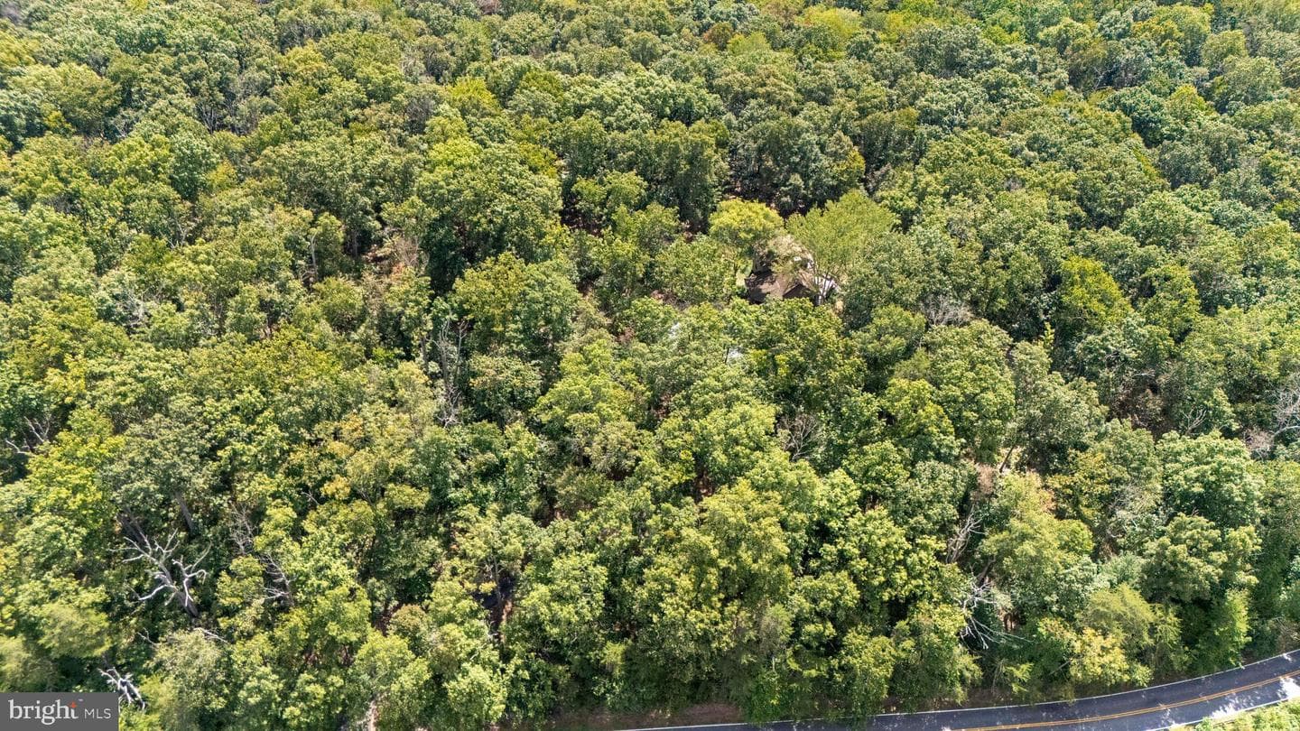 23005 Shiloh Church Road photo 60