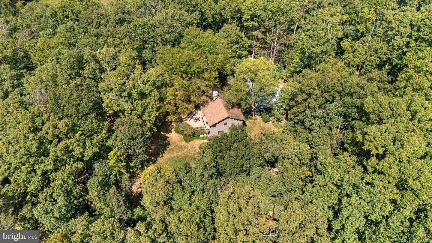 23005 Shiloh Church Road photo 63