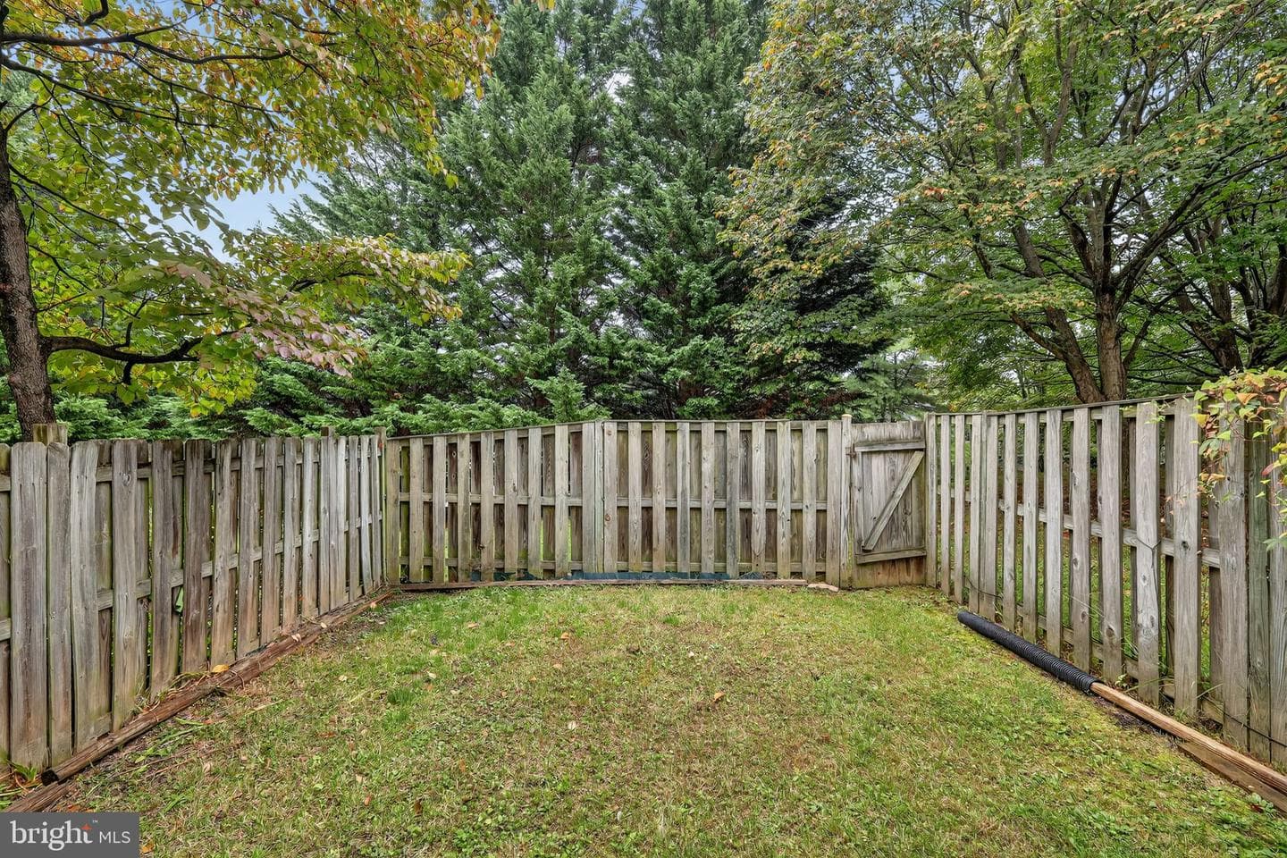 7903 Capricorn Terrace photo 29