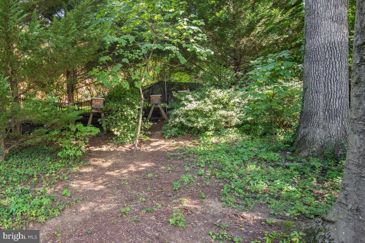 8102 Thoreau Drive photo 45
