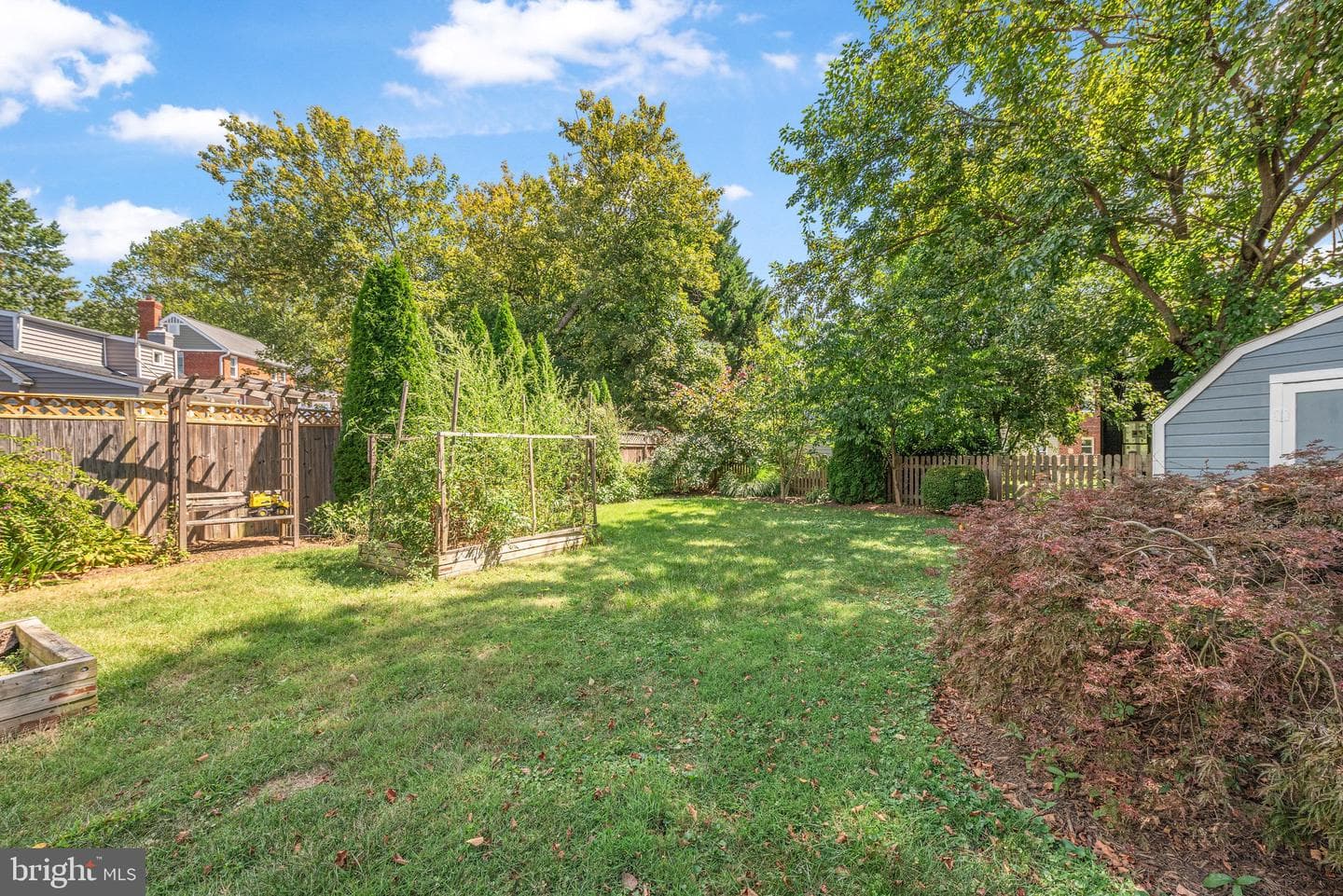 10013 Forest Grove Drive photo 45