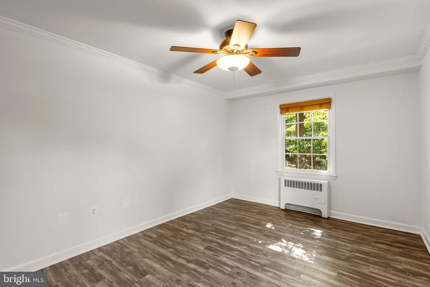 199 Talbott Street #199 photo 19