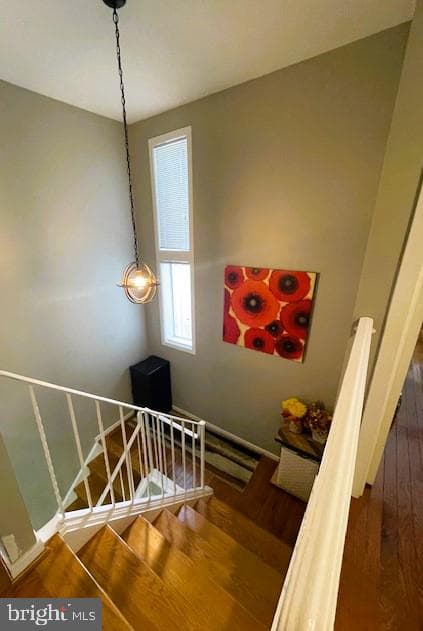 9873 Lake Shore Drive photo 44