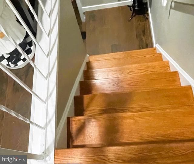 9873 Lake Shore Drive photo 52