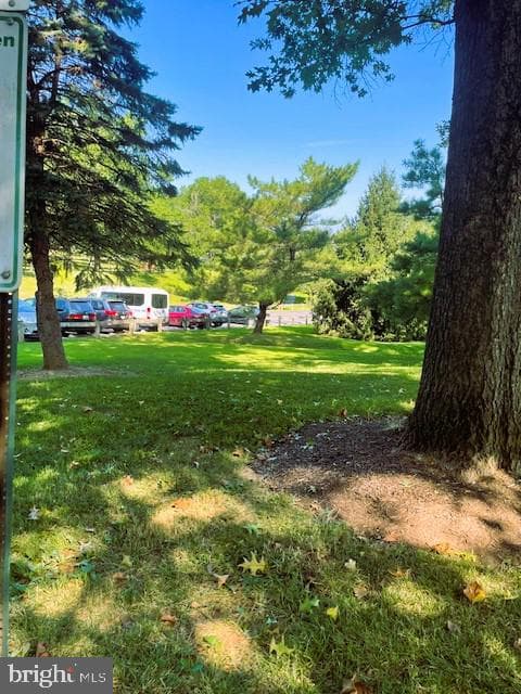 9873 Lake Shore Drive photo 93
