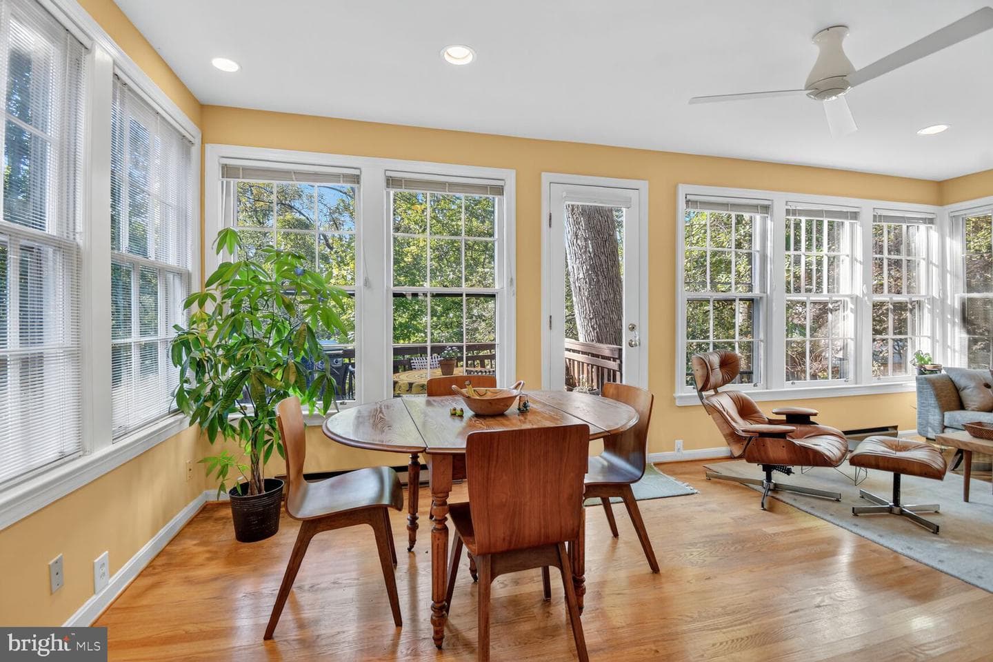14 Cleveland Avenue photo 14