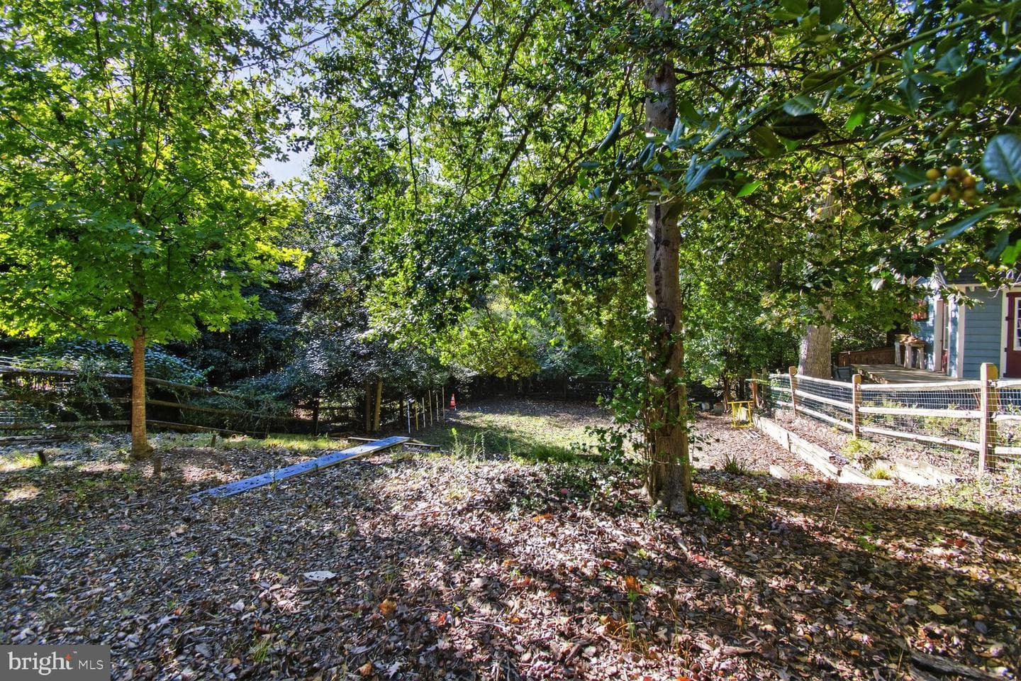 14 Cleveland Avenue photo 39
