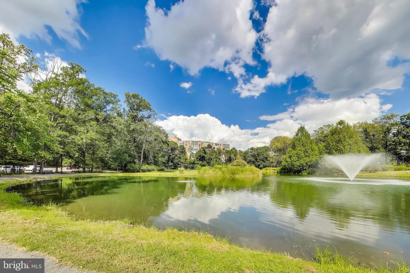 15115 Interlachen Drive #3-802 photo 33