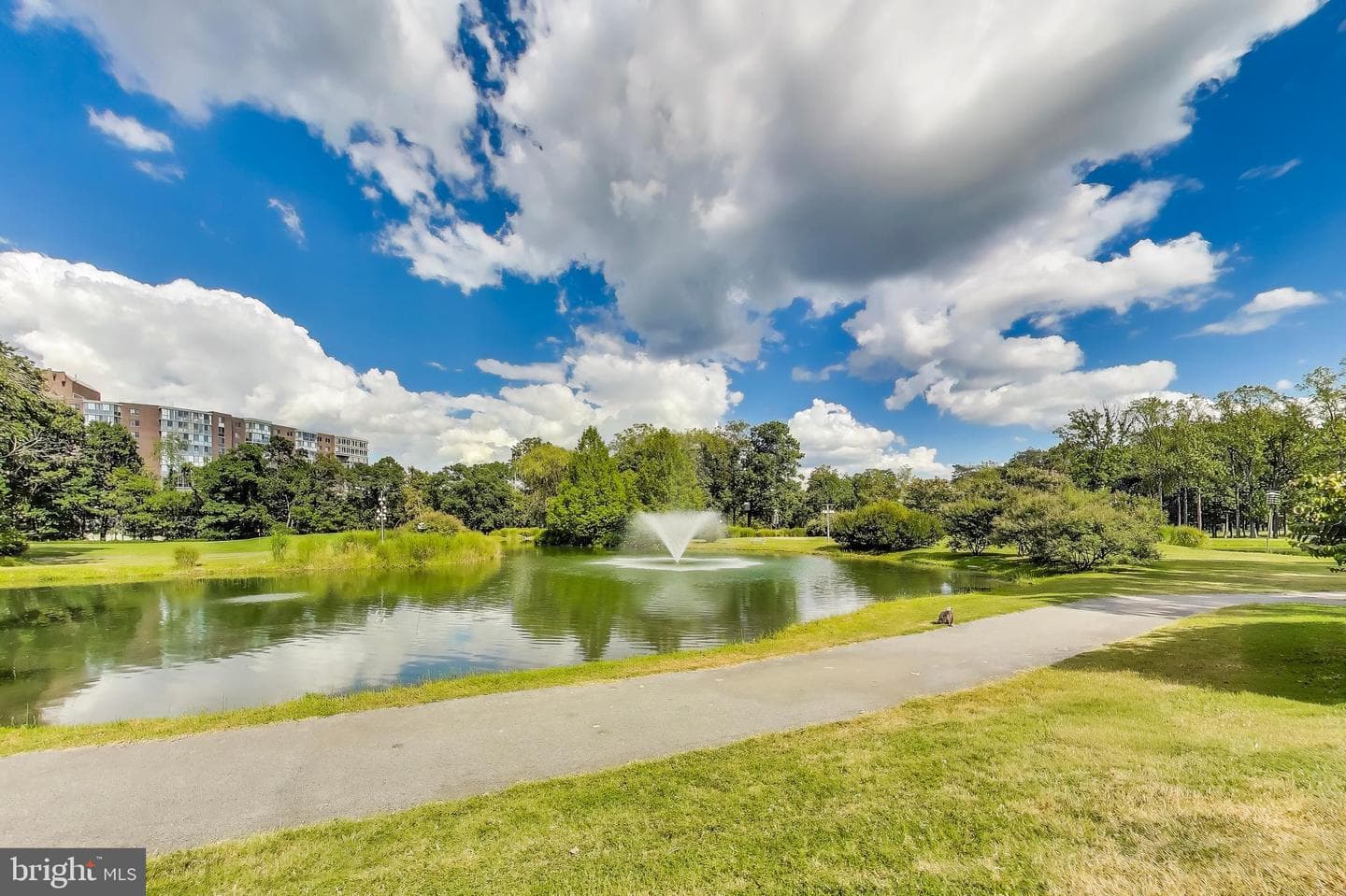 15115 Interlachen Drive #3-802 photo 34