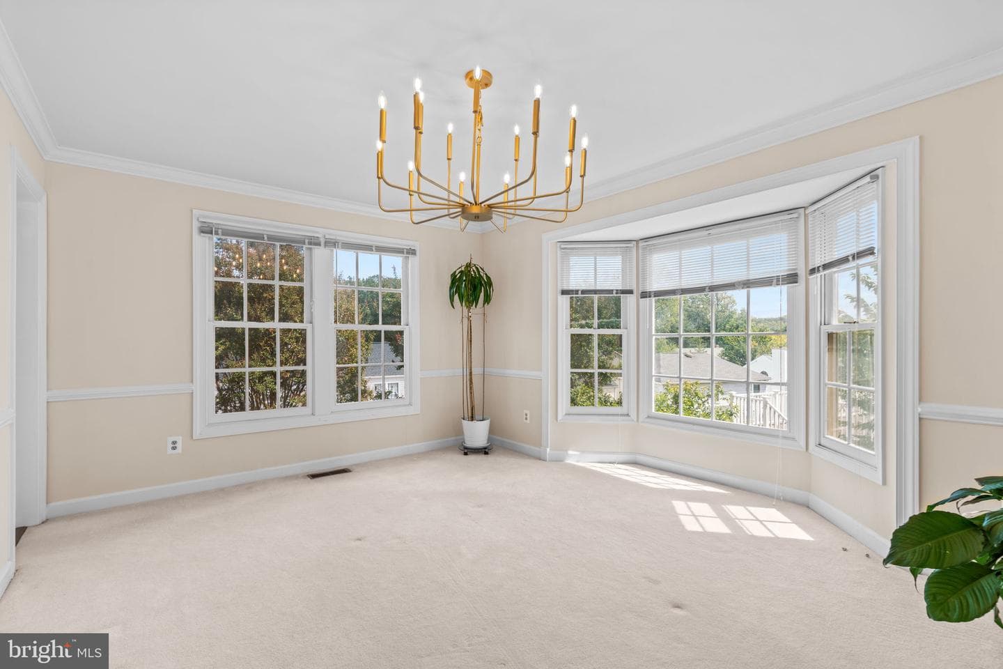 14907 Meanderwood Lane photo 18