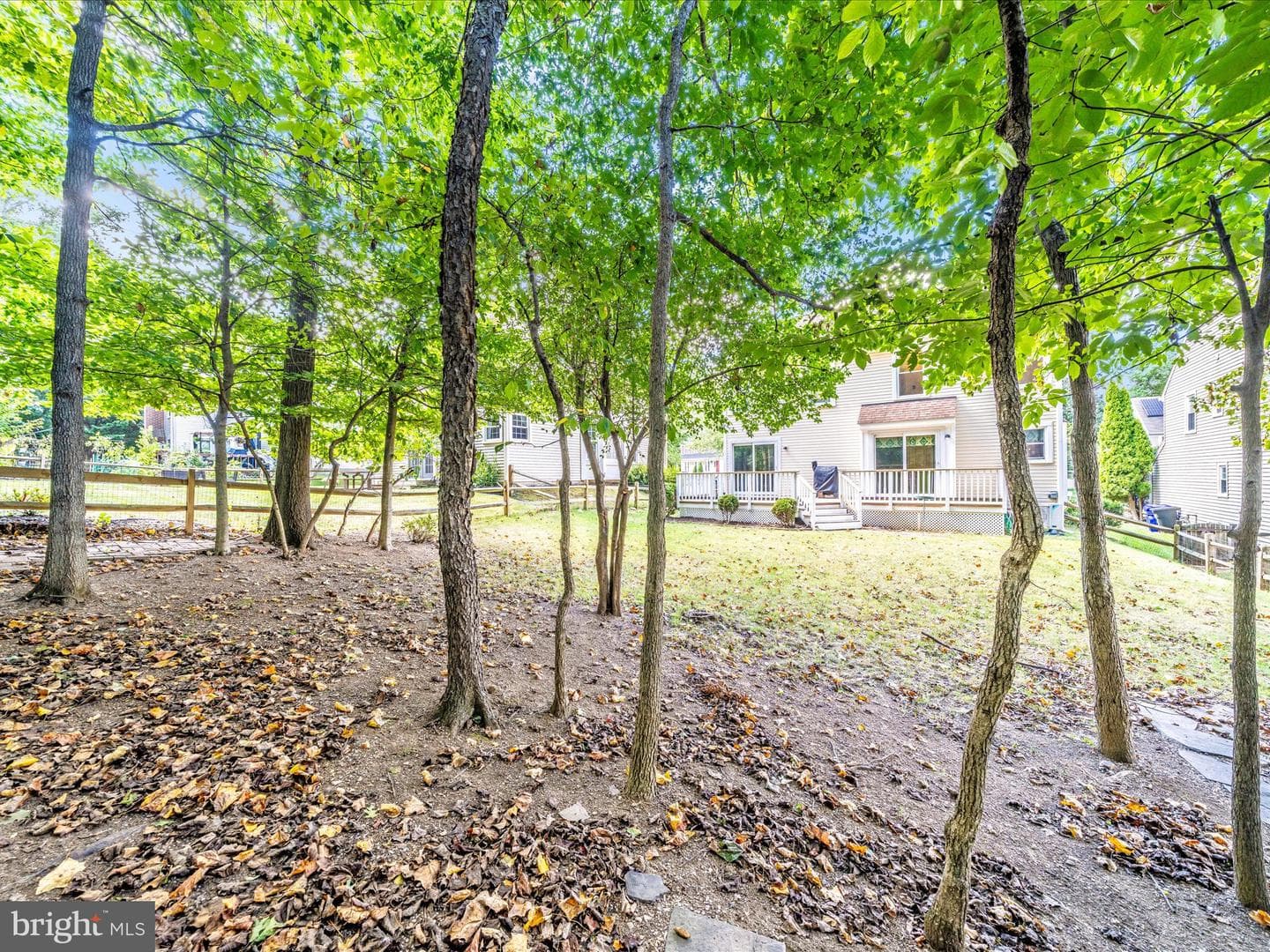13313 Burnt Woods Place photo 34