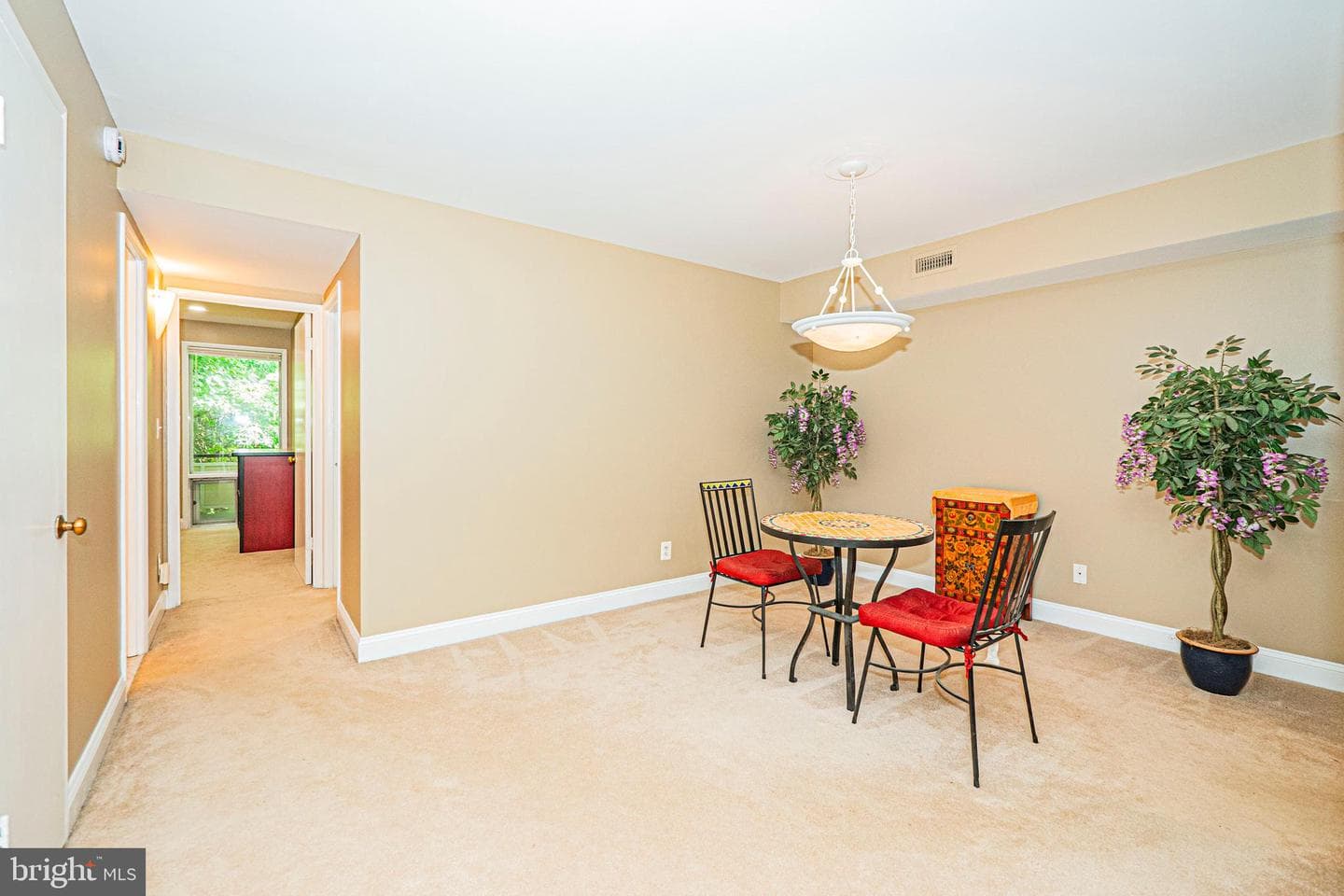 7539 Spring Lake Drive #7539-C photo 13