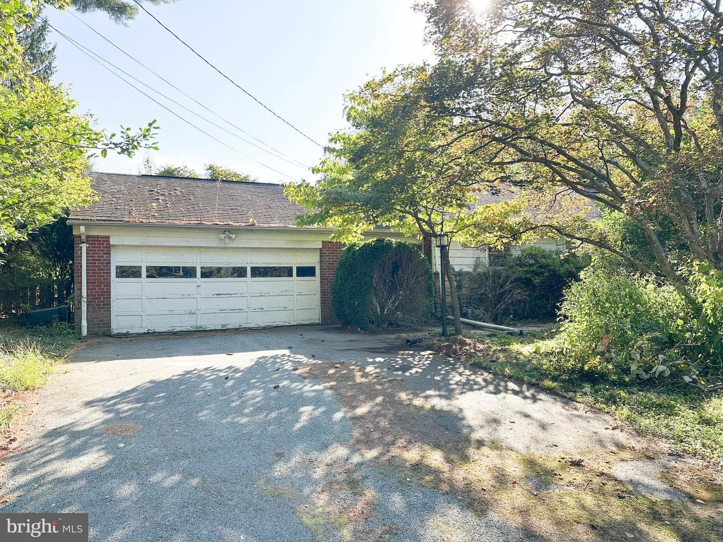 9223 Rosemont Drive photo 4
